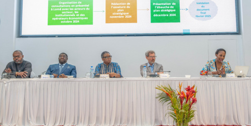 Le Togo dispose désormais d’un nouvel outil pour le secteur cinéma et de l’audiovisuel. Il s’agit du plan stratégique 2025-2029 de développement dudit secteur qui a été validé en fin de semaine dernière au cours d’une rencontre présidée par la ministre en charge de la Culture, Yawa Kouigan, en présence du ministre-conseiller à la présidence de la République, Pascal Bodjona.