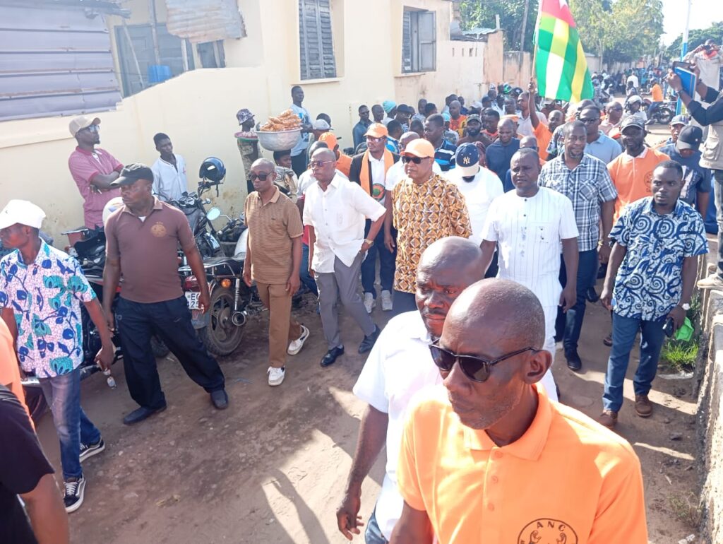 Togo: Faible mobilisation au ‘grand meeting’ du CNCC à Lomé