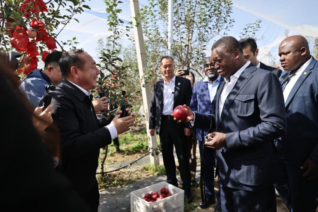 A Nangou, Faure Gnassingbé explore des solutions pour les territoires togolais
